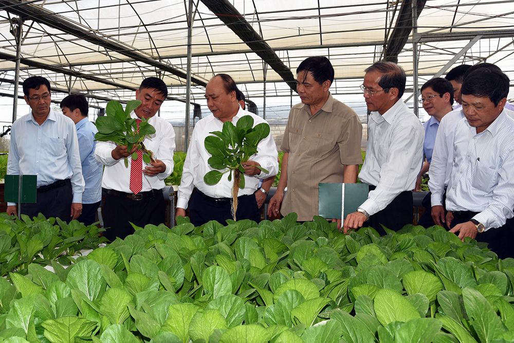 Đoàn kết, sáng tạo, nỗ lực vượt khó của Đảng bộ tỉnh Lâm Đồng (Kỳ 2)