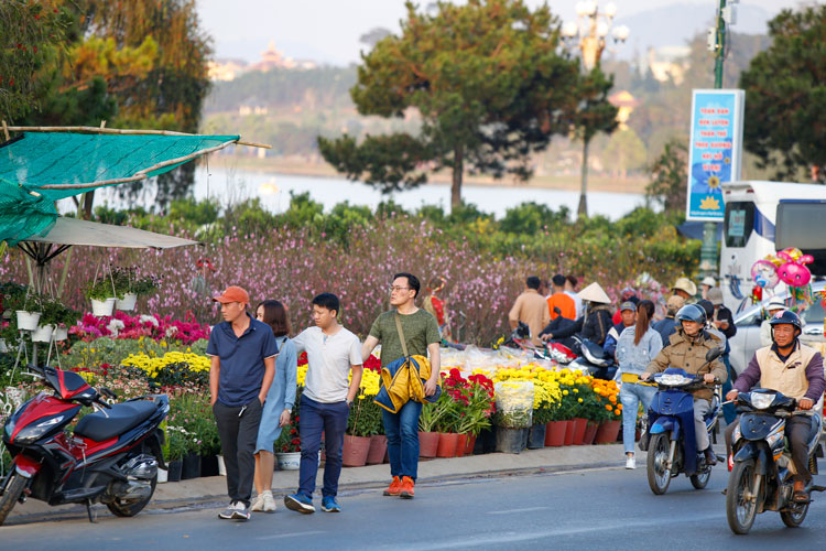 So với các cung đường hoa xuân khác, khu vực không gian Quảng trường Lâm Viên đông vui, tấp nập du khách và người dân, nhất là từ 15 giờ trở đi