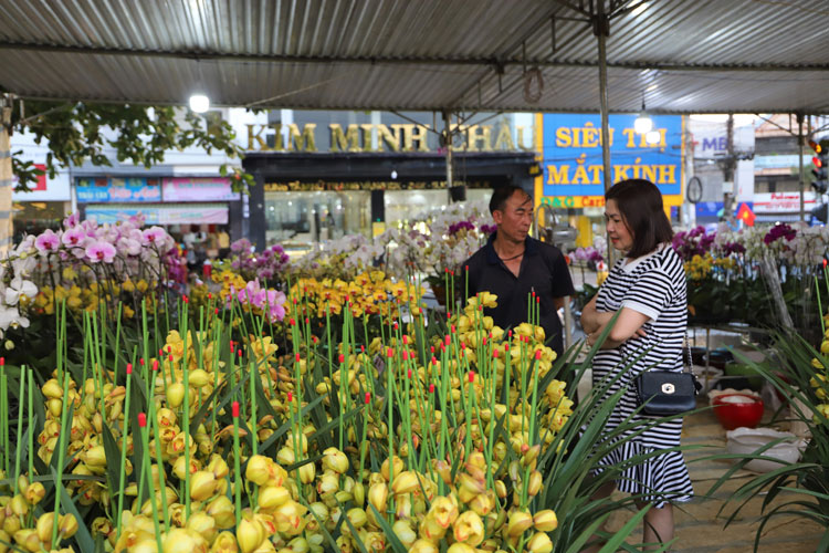 Muôn hoa khoe sắc tràn ngập sắc xuân tại chợ hoa Bảo Lộc