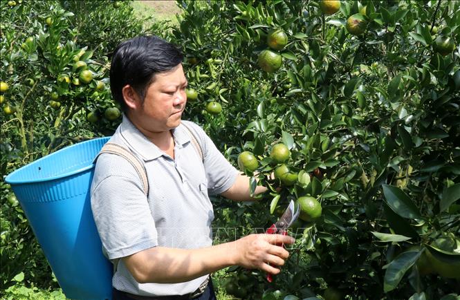 Tiếp bước tinh thần quyết thắng (Bài 2)