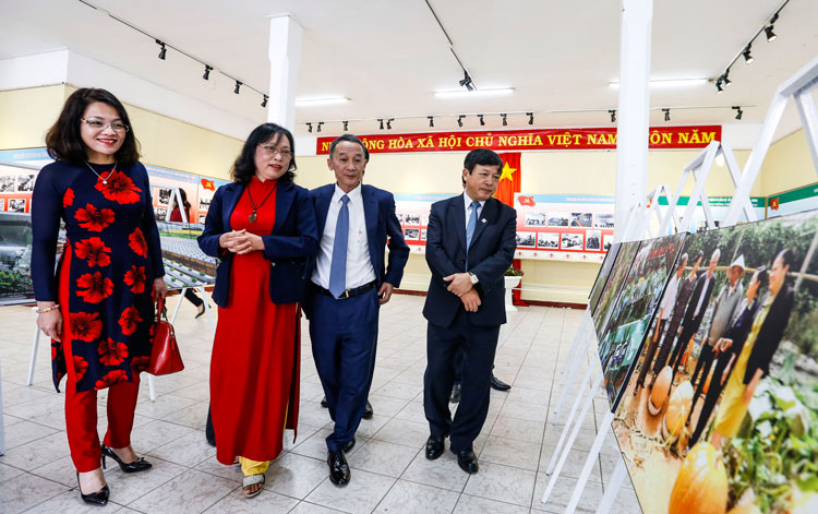 Đại diện lãnh đạo tỉnh, sở, ngành tham quan ảnh tư liệu tại triển lãm