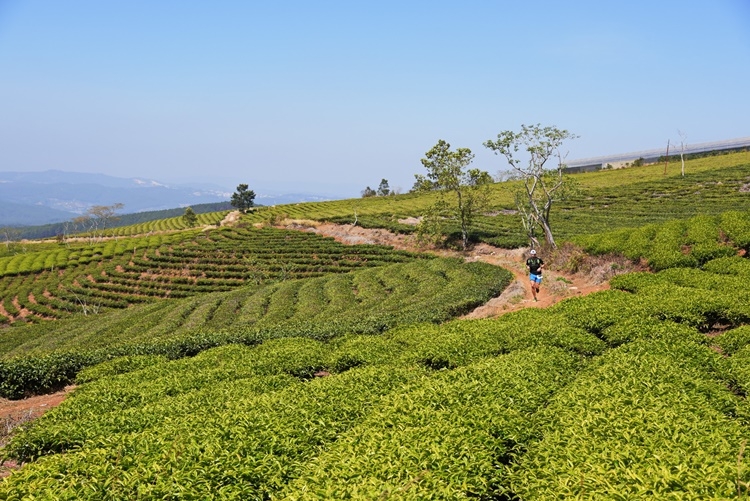 Quang cảnh hùng vĩ của những đỉnh núi