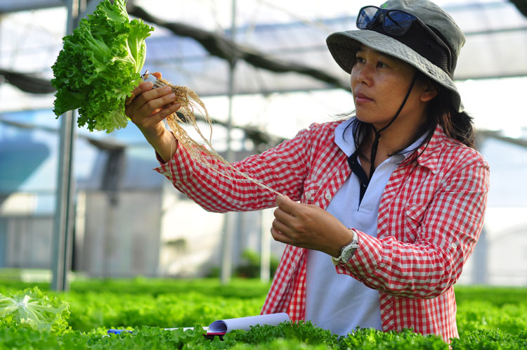 Đơn Dương hướng tới nhiều mục tiêu trong công tác xây dựng Đảng năm 2020