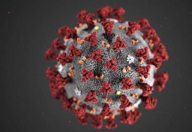 WHO không đặt tên mới cho chủng virus corona gây bệnh Covid-19