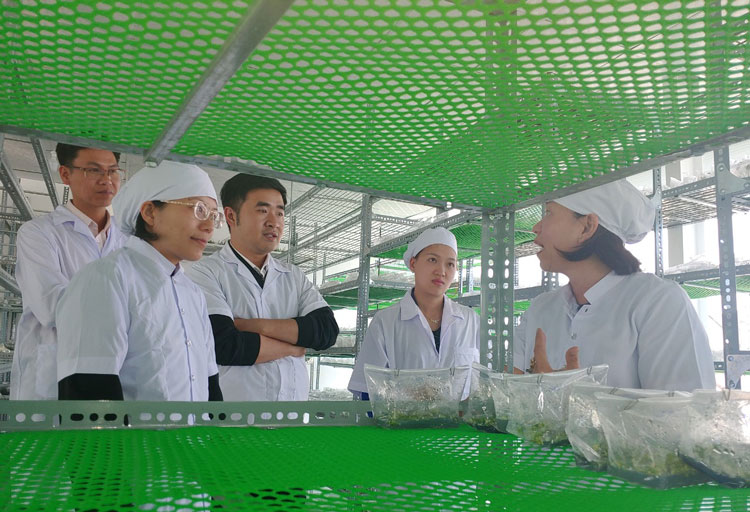 Hỗ trợ doanh nghiệp đổi mới sáng tạo, nâng cao năng suất, chất lượng