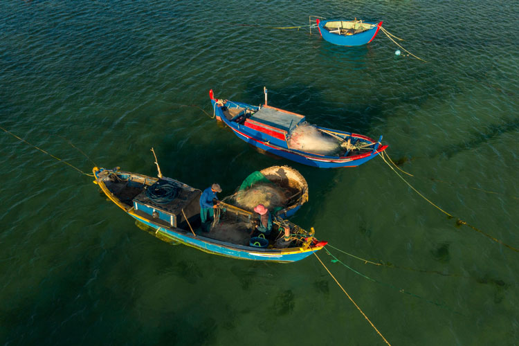 Mưu sinh trên biển. Ảnh: Trần Quang Anh