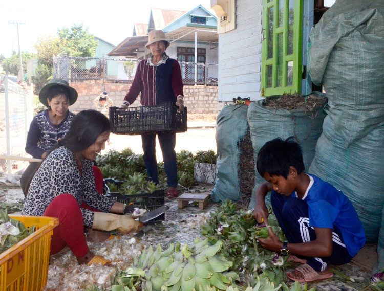 Đạ Sar hướng đến xã nông thôn mới nâng cao