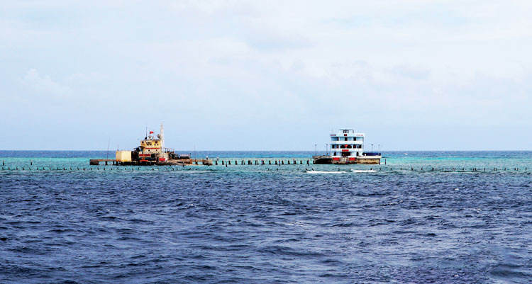 Tổ quốc nhìn từ biển (Bài 2)