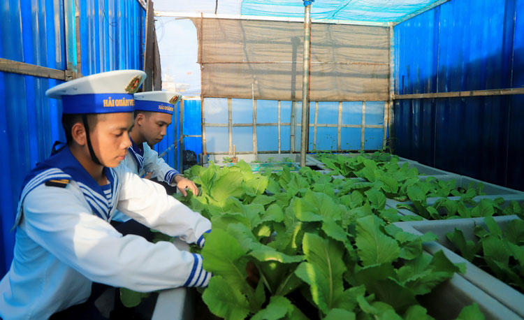 Rau xanh trên đảo Đá Thị luôn được những người lính đảo chăm sóc tươi tốt tạo màu xanh cho đảo