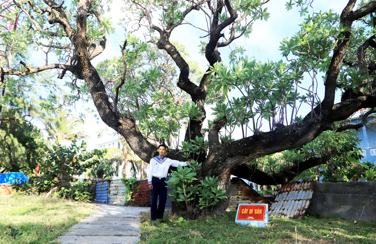 Tổ quốc nhìn từ biển (Bài 4)