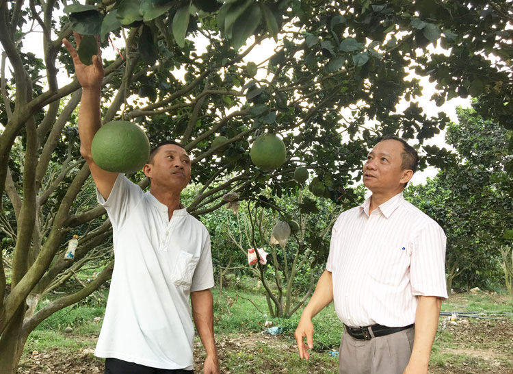 Di Linh sẵn sàng cho Đại hội Đảng bộ huyện