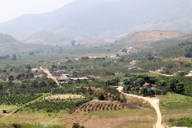 Trăn trở Bãi Mía