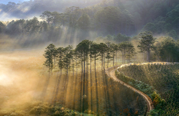 Nắng xiên. Ảnh: Thụy Trang