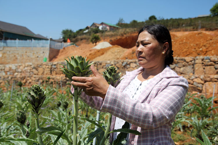 Đi đầu để làm gương