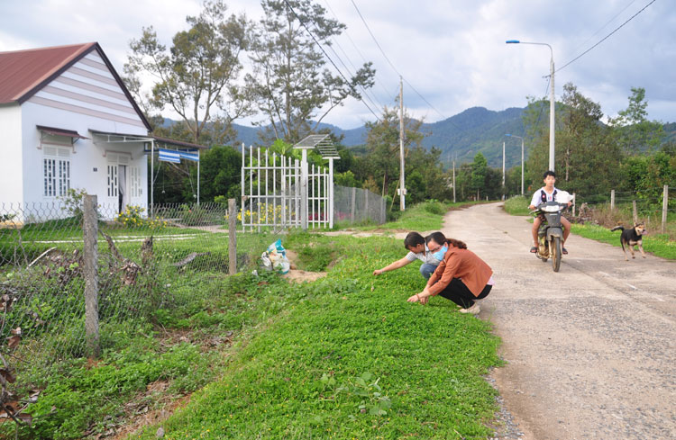 Cho một Đạ Huoai sạch và đẹp