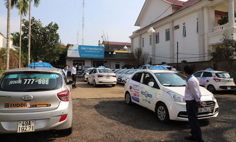 Taxi Lado tạm ngừng hoạt động đưa tất cả đầu xe tập kết về bãi đậu. Ảnh: Khánh Phúc