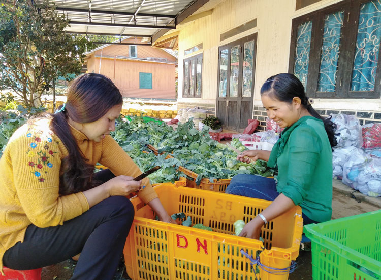 Khu dân cư kiểu mẫu ở xã vùng sâu