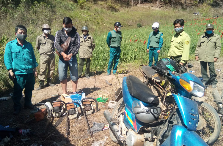 Tuần tra đêm, phát hiện 5 đối tượng phá rừng trái phép