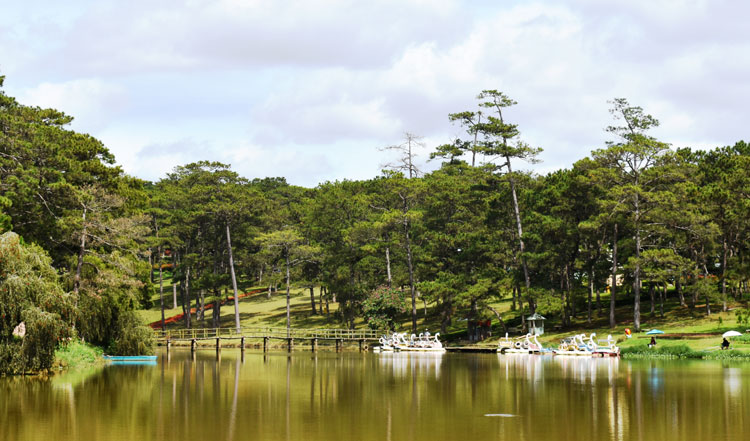 Giữ rừng trong phố Đà Lạt