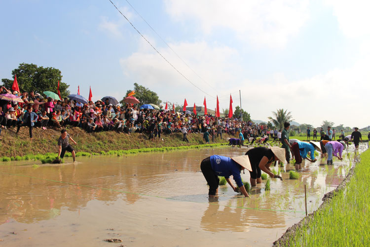 Đạ Tẻh: Nhìn lại 5 năm đẩy mạnh phong trào thi đua yêu nước