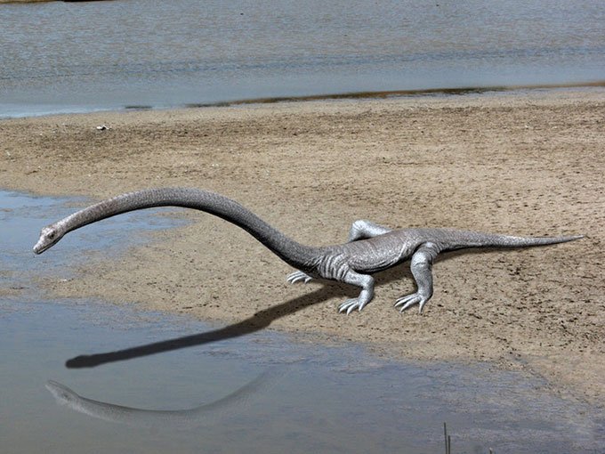 Chi Tanystropheus, họ hàng gần nhất với E. gondwanoccidens
