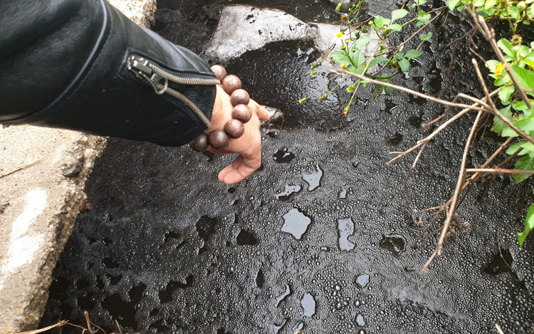 Khu vực các hầm biogas trong trại chứa lượng nước thải phân heo rất lớn nhưng để lộ thiên bốc mùi hôi thối nồng nặc