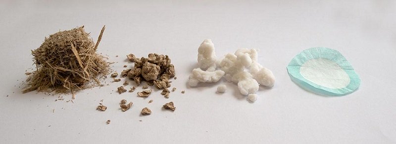 Từ bã mía đến vật liệu loại bỏ hạt nano mới.