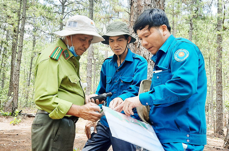 Tuần tra rừng ''mùa'' dịch