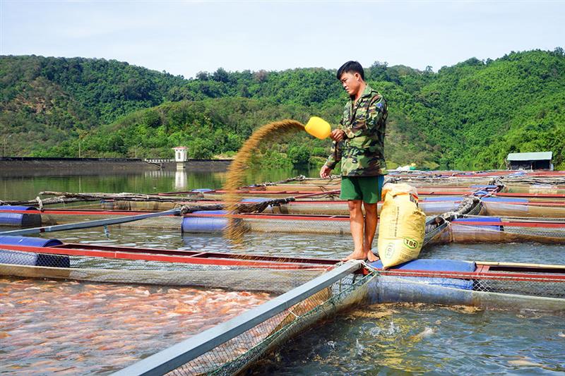 Cát Tiên: Phát huy vai trò của Hội Nông dân trong phát triển nông nghiệp, nông thôn