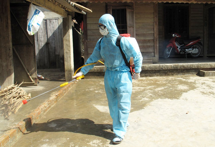 Giám sát chặt chẽ tình hình sốt xuất huyết