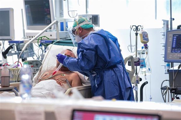 Tình hình dịch COVID-19: Thế giới ghi nhận hơn 4,2 triệu ca bệnh