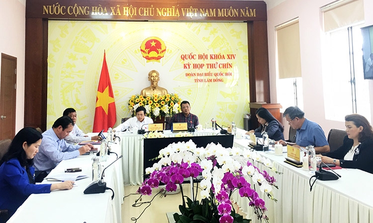 Thảo luận trực tuyến về Dự án Luật Thanh niên (sửa đổi)