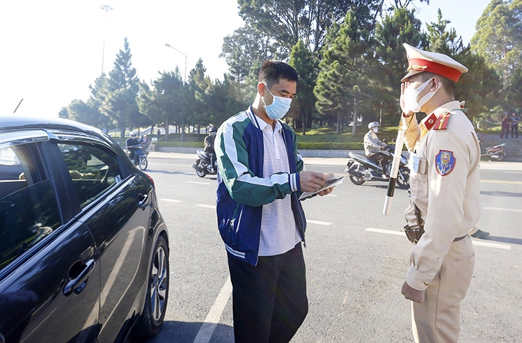 Đà Lạt: Xử lý 167 trường hợp vi phạm trong 10 ngày tổng kiểm tra ATGT