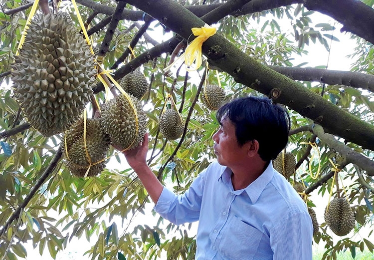 Xã anh hùng học Bác để vươn lên