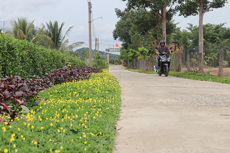 Nơi cả cộng đồng chung sức tạo màu xanh