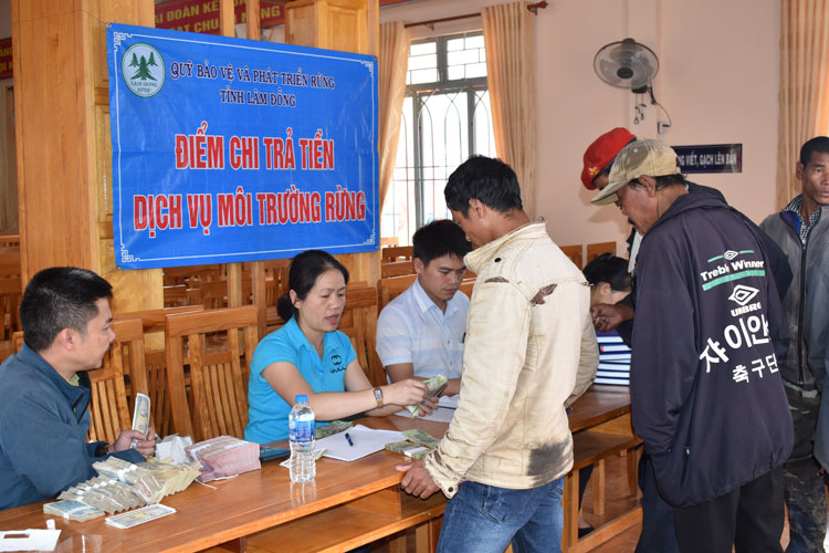 Mỗi hộ nhận khoán quản lý, bảo vệ rừng trên địa bàn Lâm Đồng đạt thu nhập bình quân 12,5 - 15 triệu đồng/năm