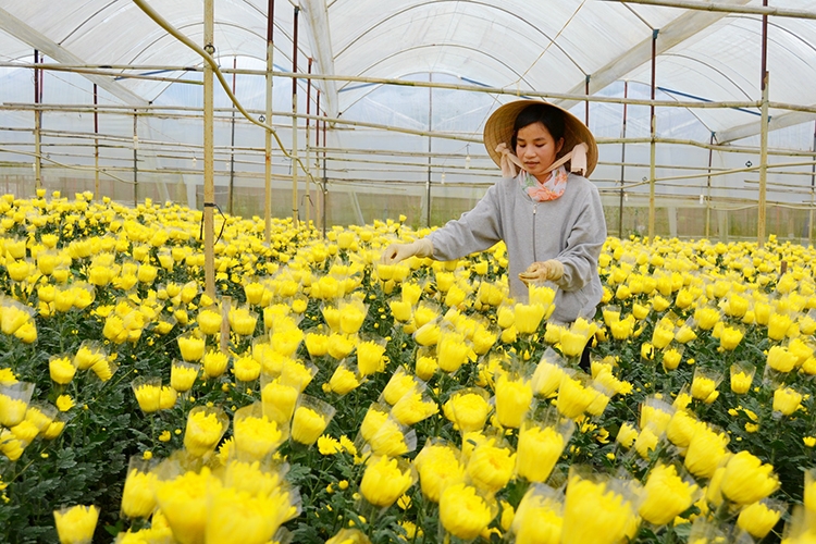 Đoàn kết, đổi mới, xây dựng Phường 12 phát triển vững mạnh