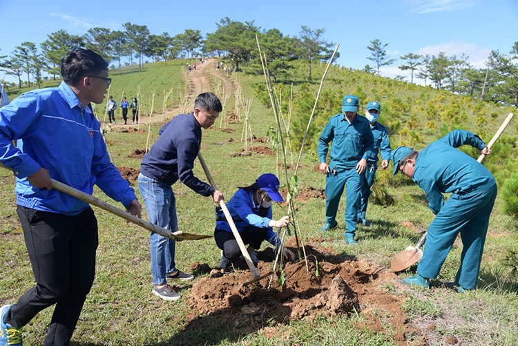 Một số hình ảnh trồng cây phân tán tại Tiểu khu 147A sau lễ phát động