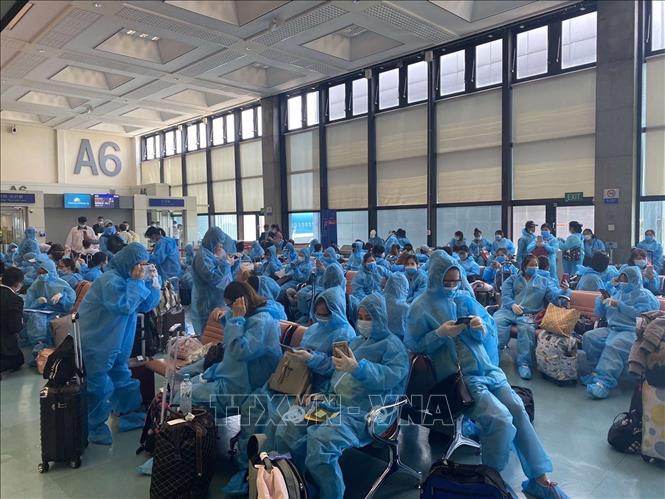 Sáng 4/6: Việt Nam 49 ngày không có ca mắc mới COVID-19 trong cộng đồng