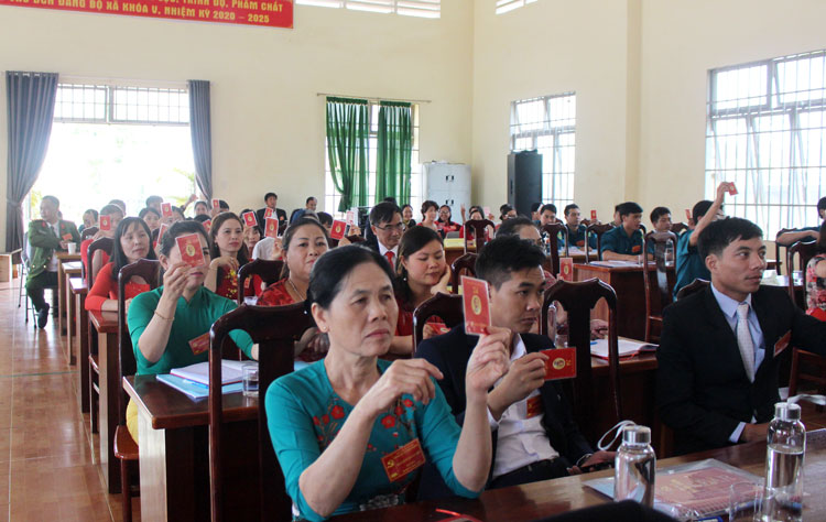 Đại biểu biểu quyết thông qua Nghị quyết Đại hội