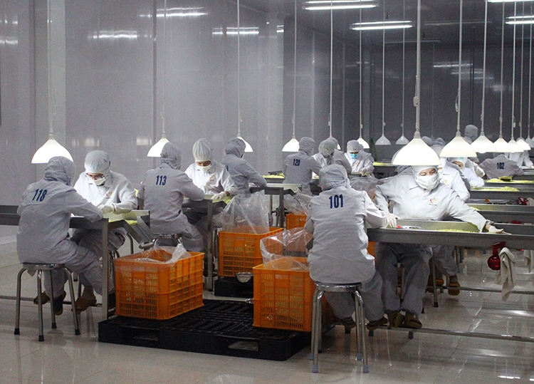 Khẳng định vai trò nữ công nhân, viên chức, lao động