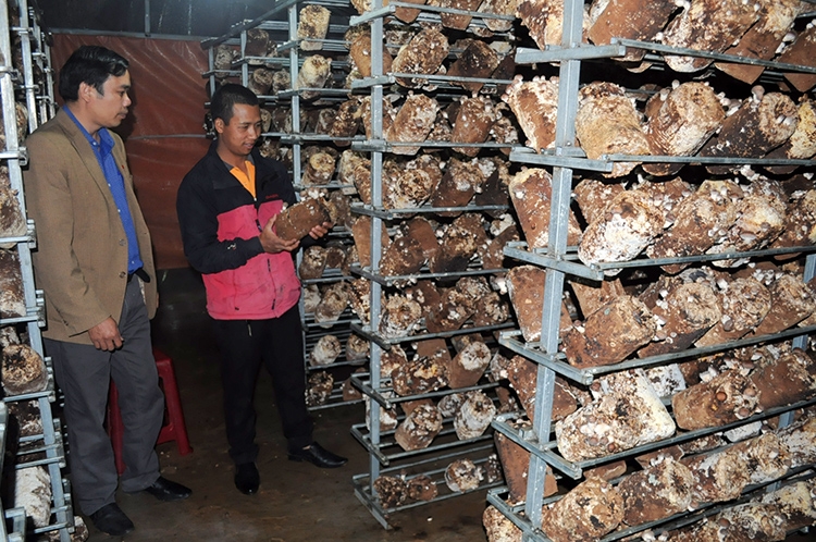 Đẩy mạnh công tác dân vận trong đồng bào dân tộc thiểu số