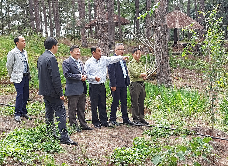 Đoàn giám sát của Thường trực HĐND tỉnh giám sát việc triển khai các dự án tại Khu Du lịch Quốc gia hồ Tuyền Lâm