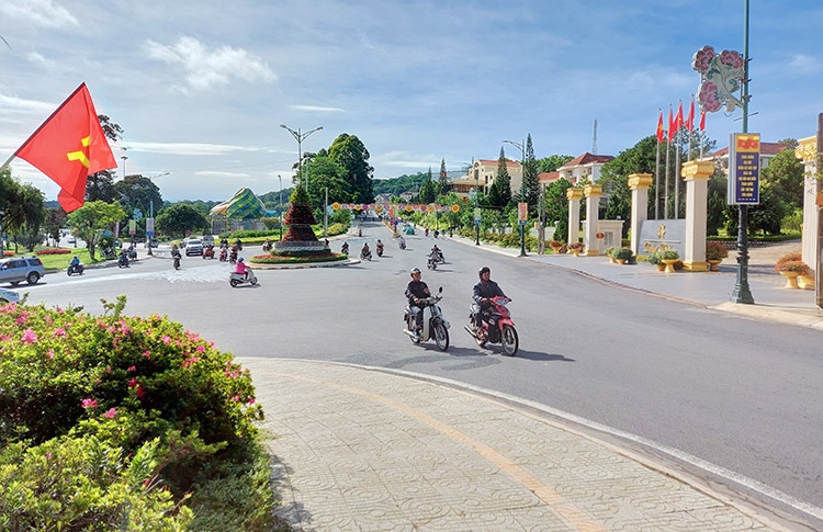 Phường 3 có con đường hoa rất đẹp.