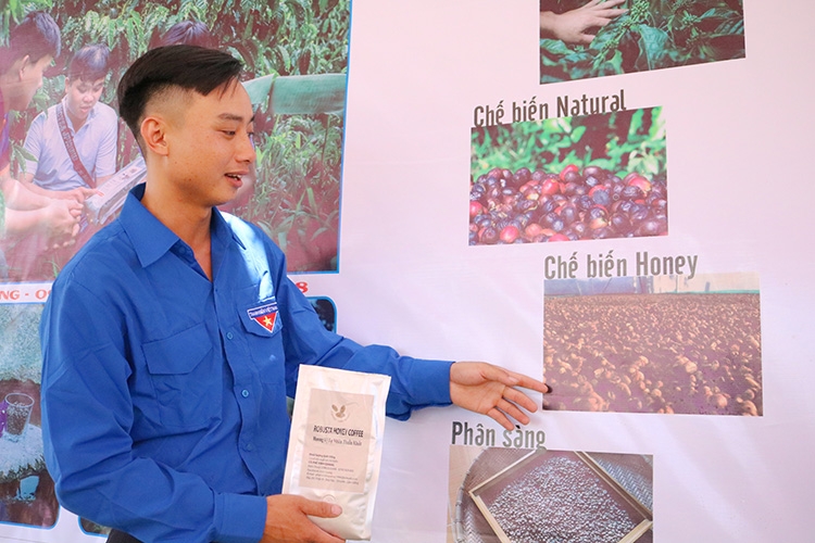 Robusta Honey ở vùng quê
