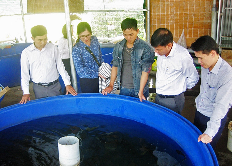 Đam Rông: Tập trung tuyên truyền thành tựu 15 năm thành lập huyện