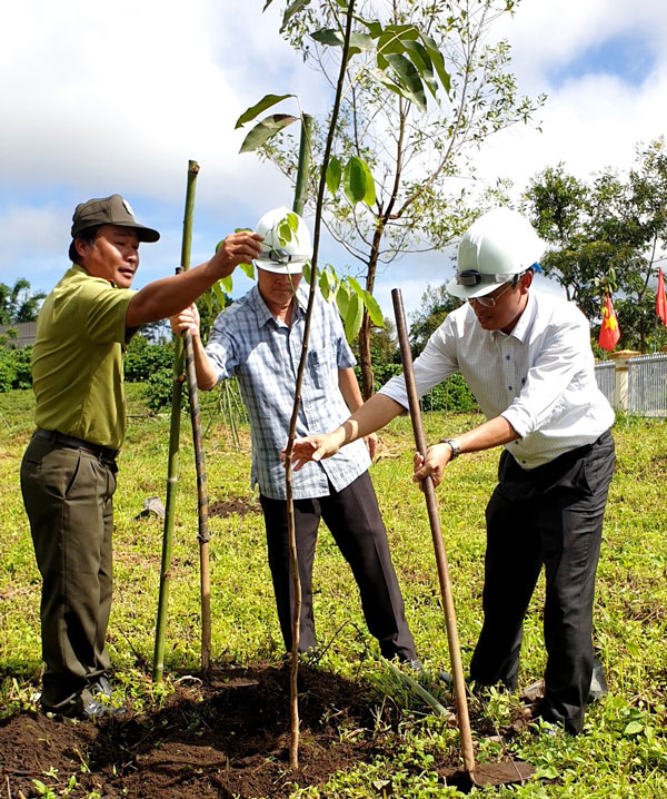 Bảo Lâm phát động ra quân trồng rừng, cây phân tán năm 2020