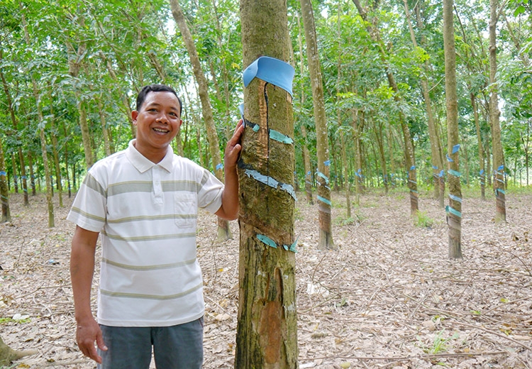 Đảng viên gần dân, dân thêm tin yêu Đảng