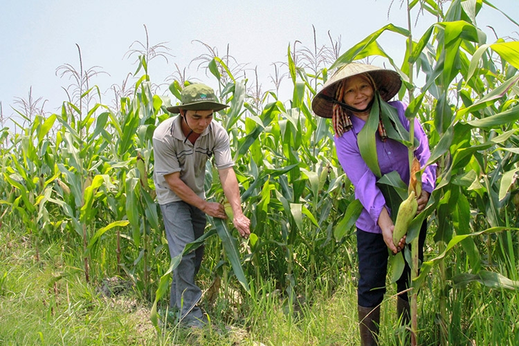 Dấu ấn từ nghị quyết sát thực tiễn