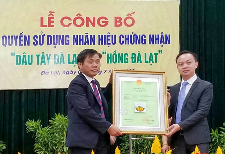 Công bố nhãn hiệu chứng nhận "Dâu tây Đà Lạt" và "Hồng Đà Lạt"